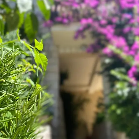 Apartament House Josip Makarska