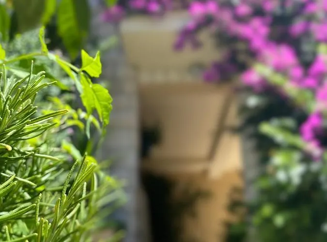 Apartamento House Josip Makarska